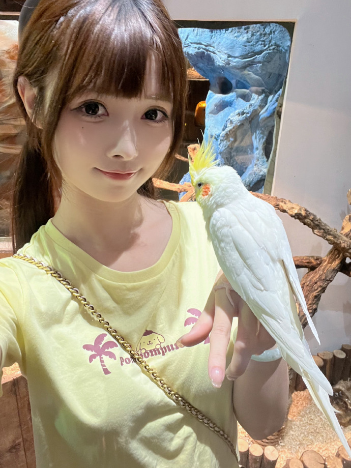 木子SEO：揭秘高效网络营销的秘密武器