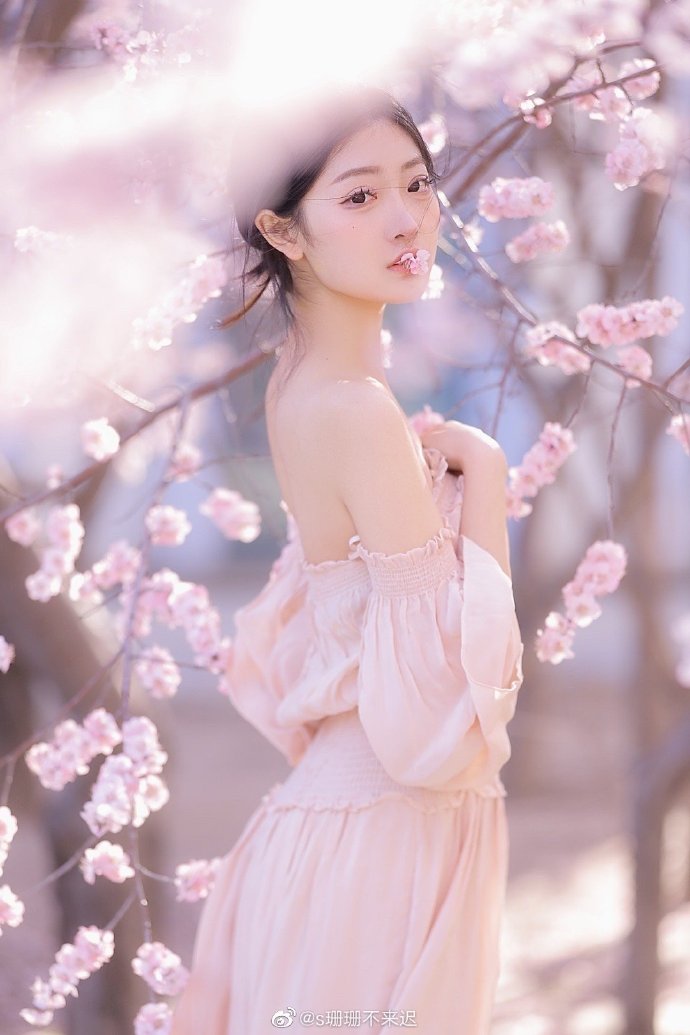 蜜梨直播