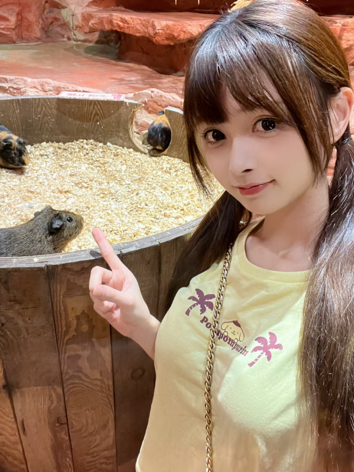 麻豆软件