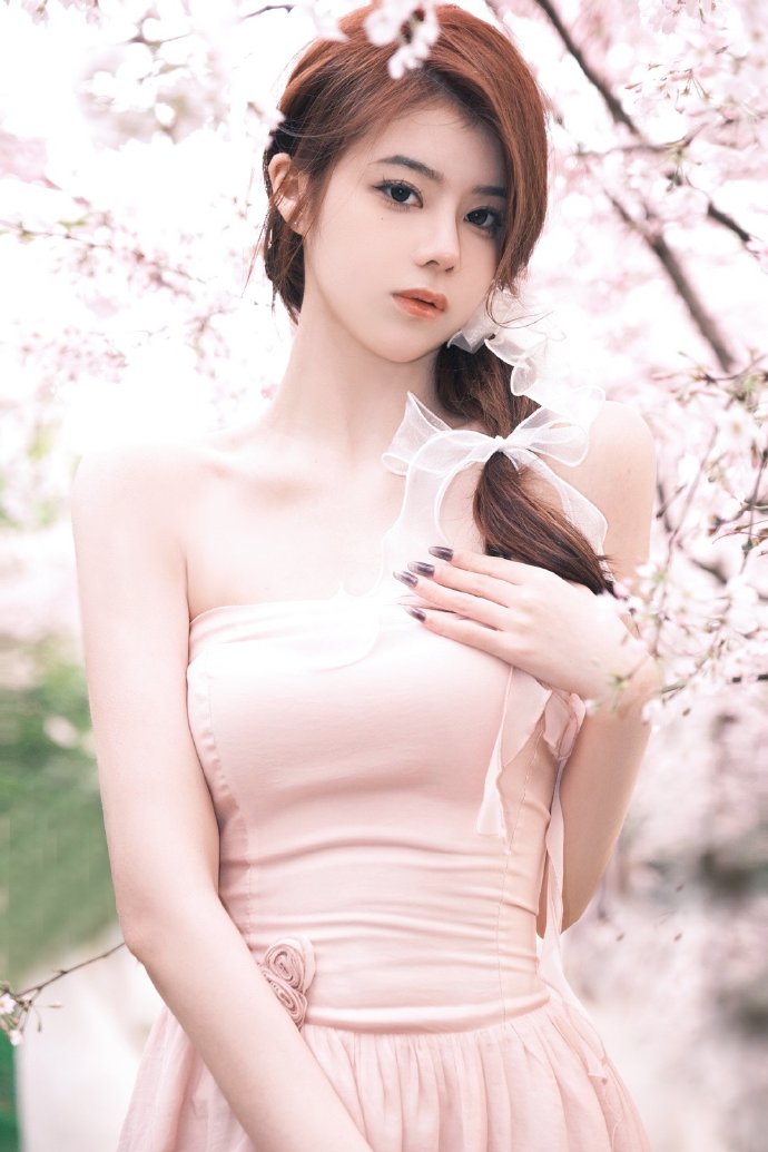深入解析：如何查看网站SEO，提升网站排名