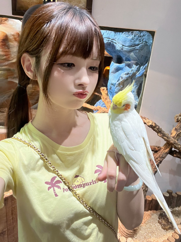 巨量搜索引擎推广：助力企业拓展市场新篇章