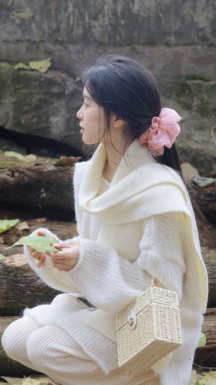 操鸡软件