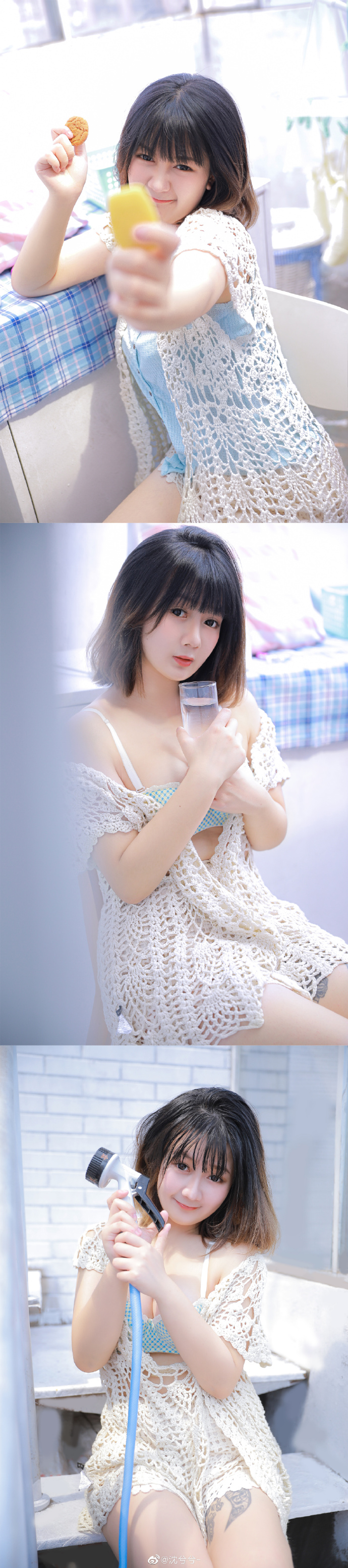 害羞草
