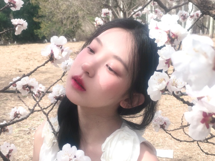 gogogo在线观看