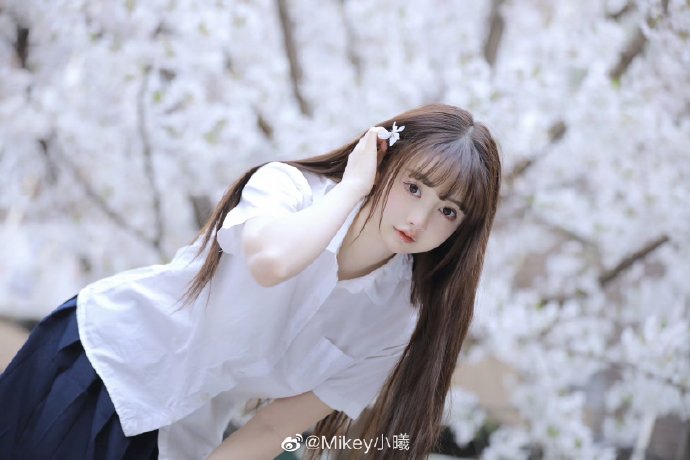 专业SEO网络推广机构助力企业互联网营销