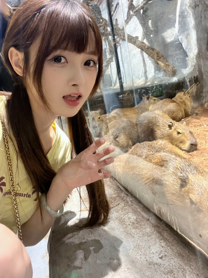 香蕉视频网站
