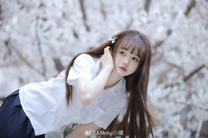 杨兵的头像