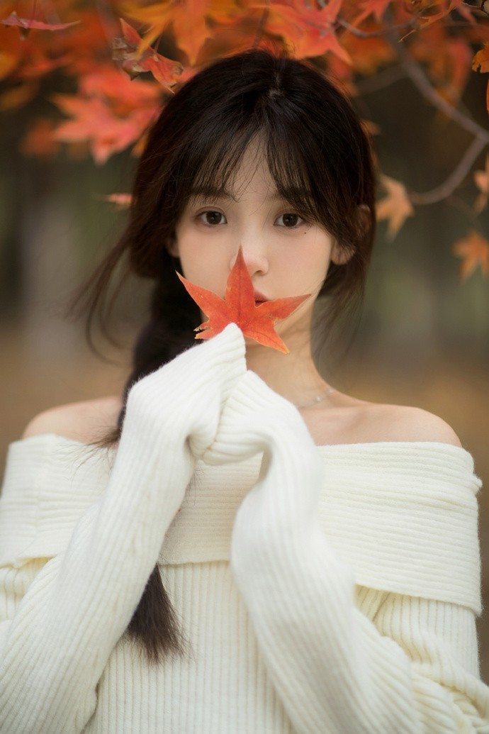 苏龙的头像
