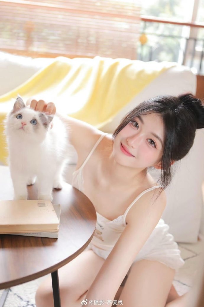 豆豆网