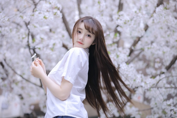 网站过多iframe影响SEO，揭秘SEO克星