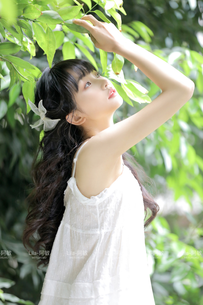 5天SEO霸屏：多语种外贸网站借鸡生蛋攻略