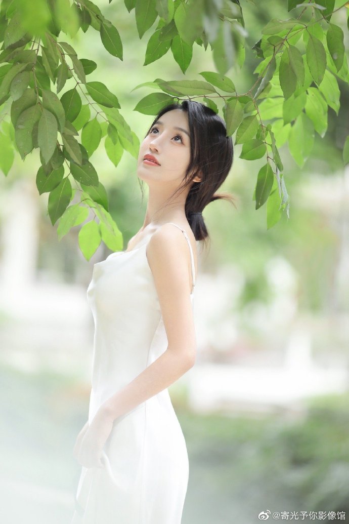如何分析竞品死链，替换链接提升SEO