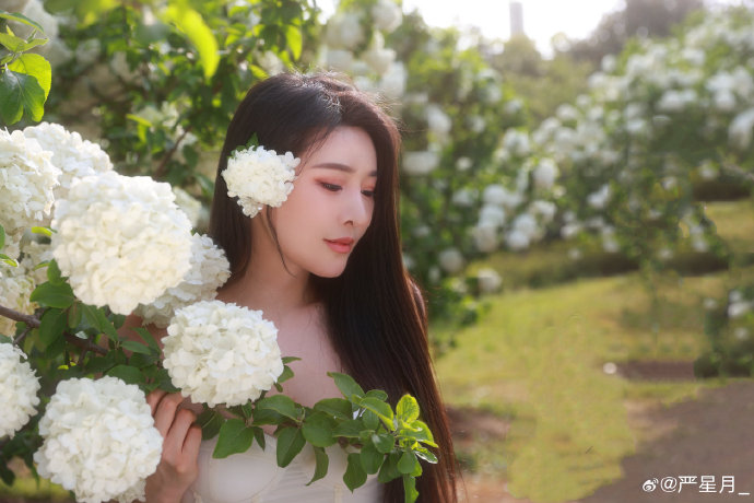 揭秘黑帽SEO劫持快照：灰色内容背后的真相