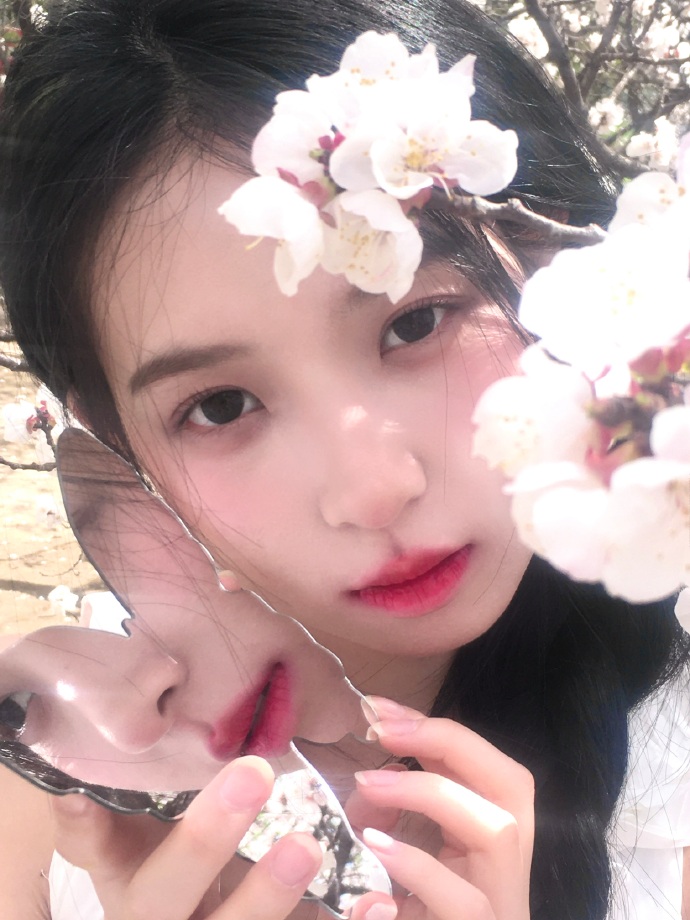 操逼软件大全
