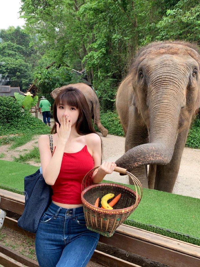 好色先生免费下载